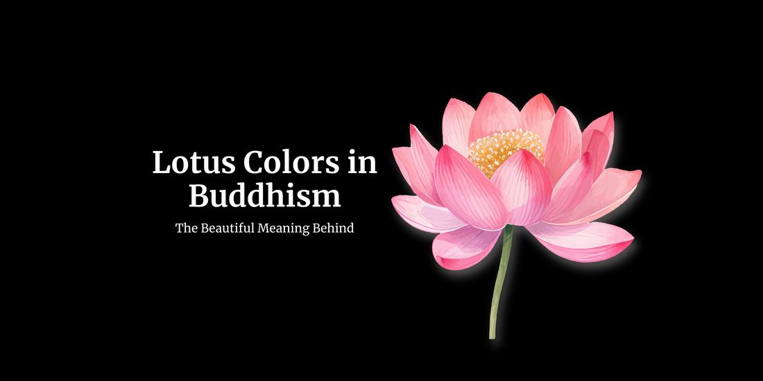 Lotus Colors