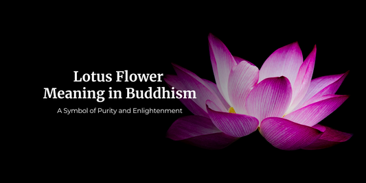 Lotus Flower Meaning in Buddhism: A Symbol of Purity and Enlightenment