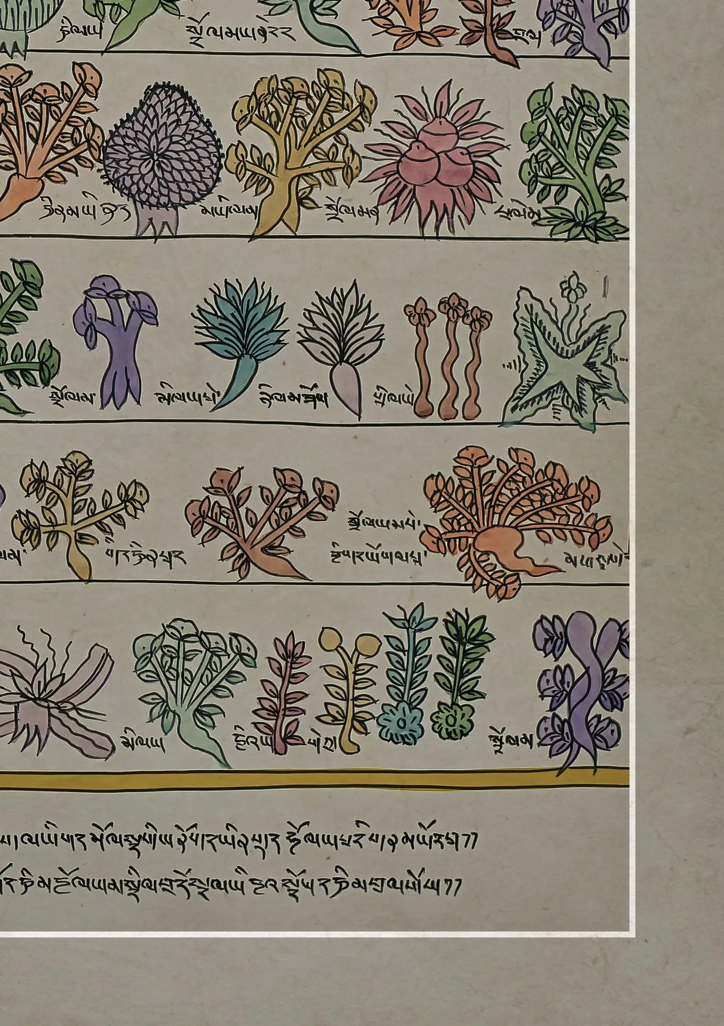 Medicine Plants Buddhist Traditional Painting