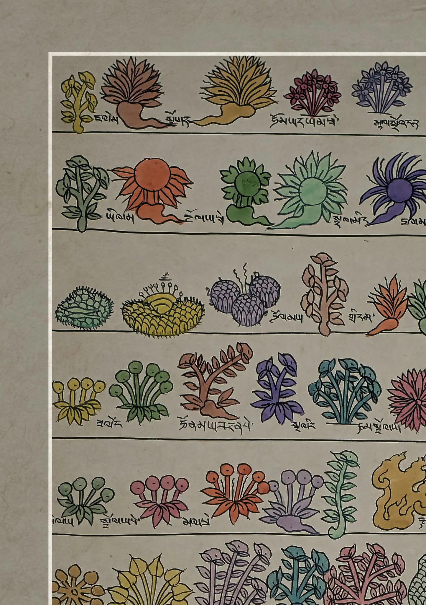 Medicine Plants Buddhist Traditional Painting