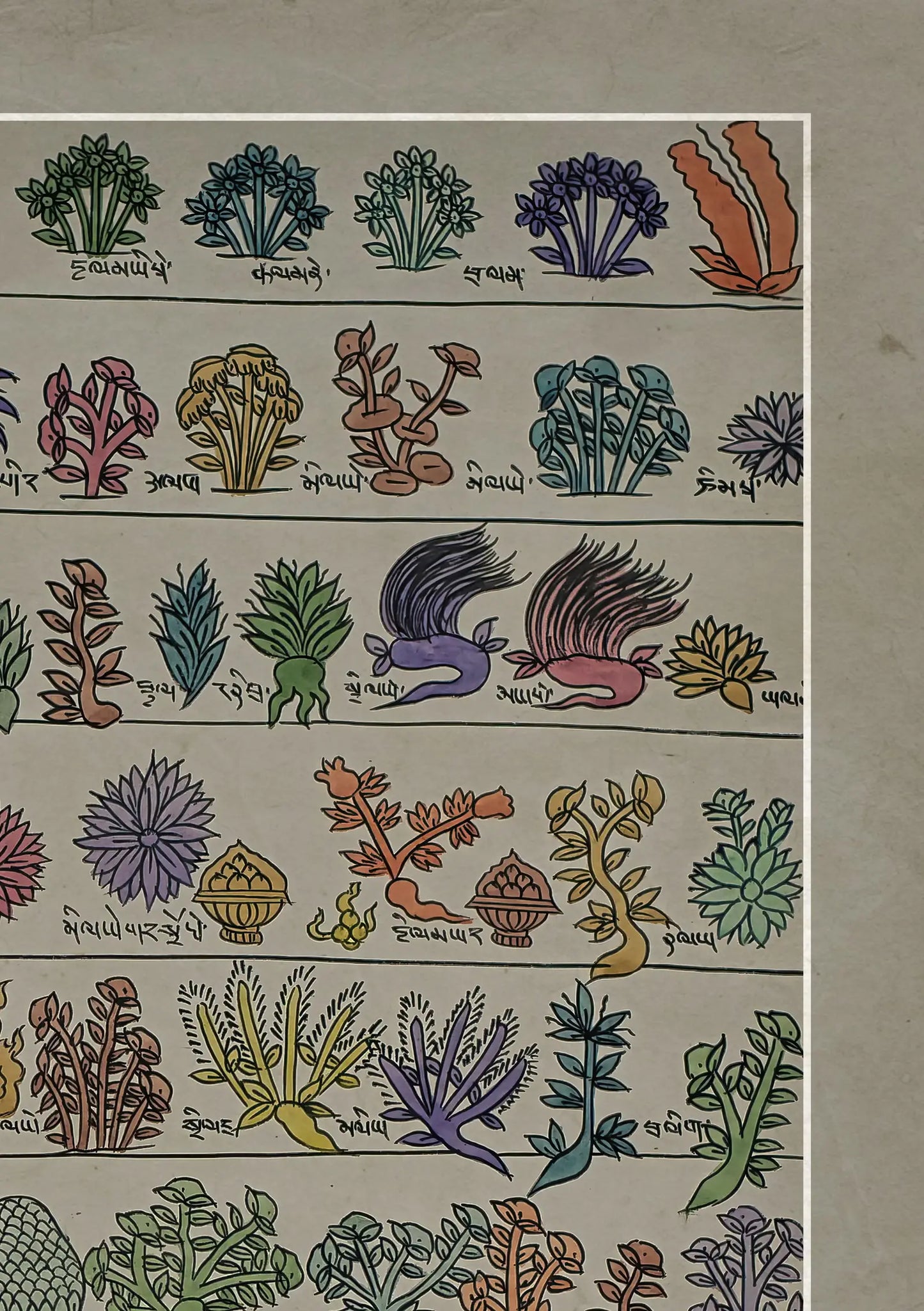 Medicine Plants Buddhist Traditional Painting