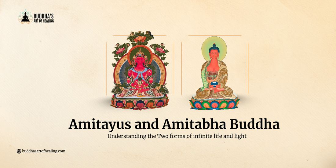 Amitayus and Amitabha Buddha: Understanding the Two Forms of Infinite Life and Light