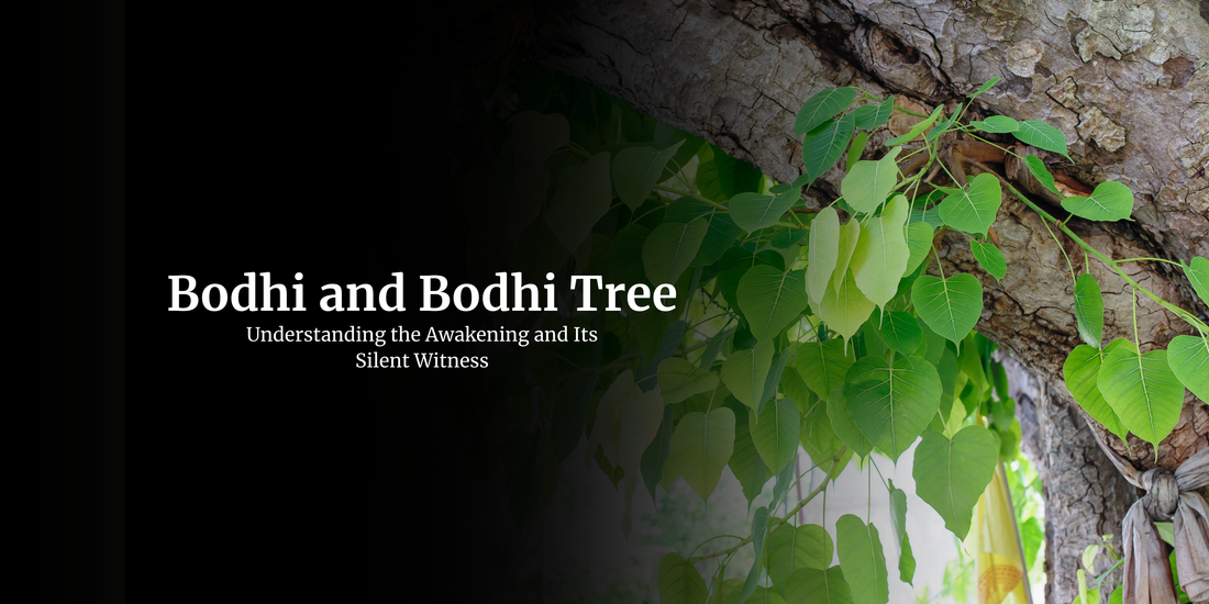 Bodhi and Bodhi Tree