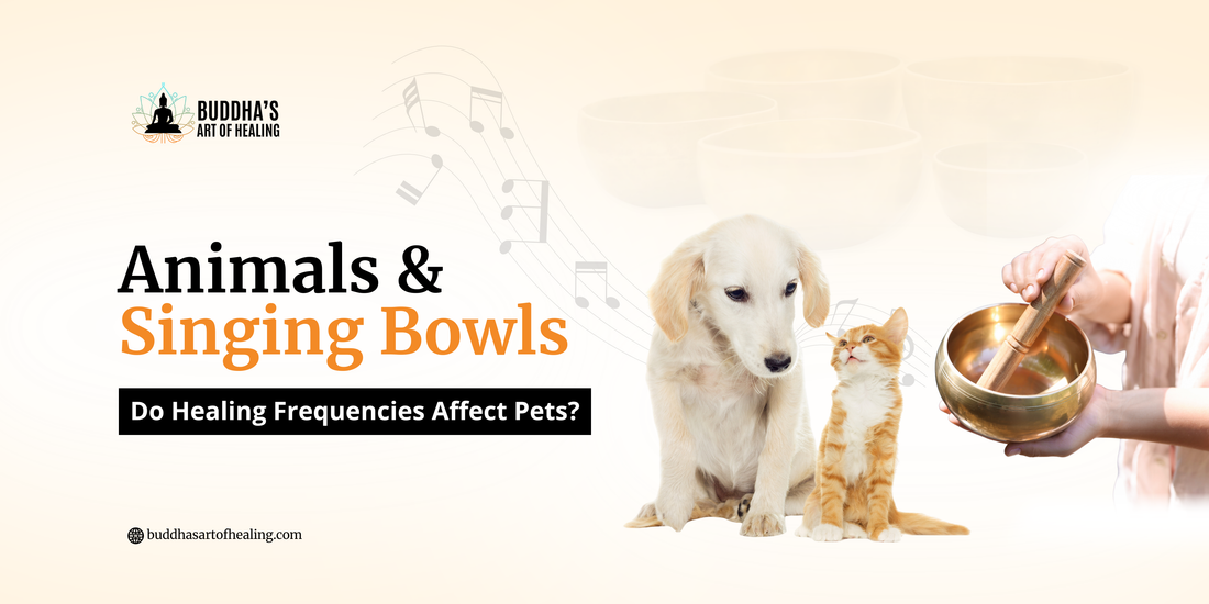 Singing Bowls and Animals